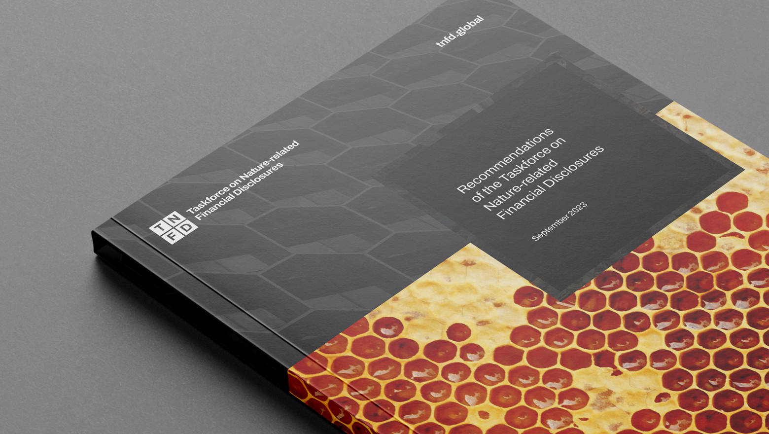 01_TNFD-mockup-2023.jpg