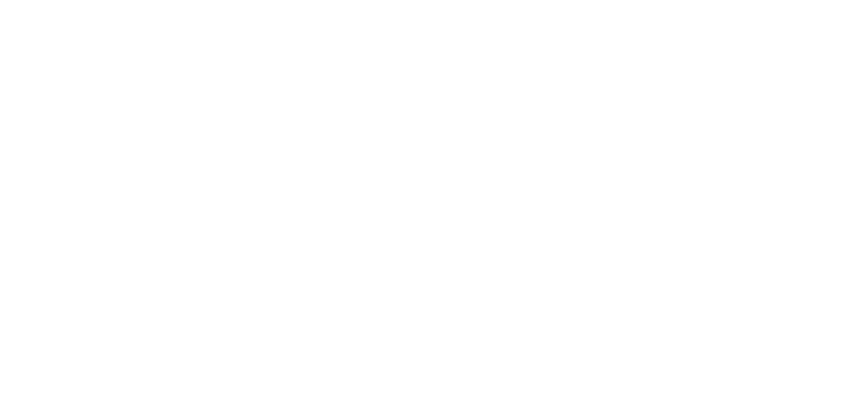 Development Partners International testimonial Logo