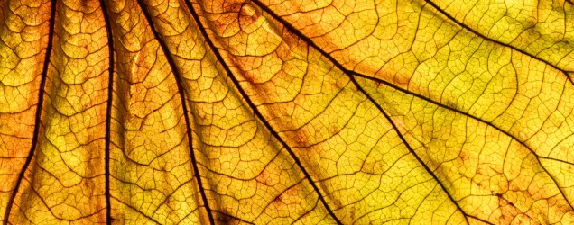 sustainabilty-esg-strategy.webp
