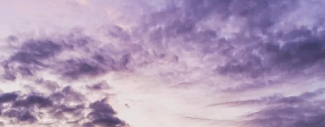 carbon-climate-nature.webp